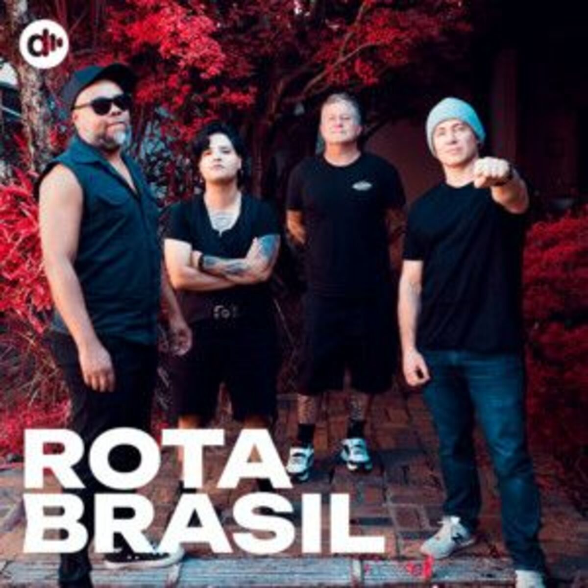 Cover of playlist Rota Brasil 🚌💚 MPB 2025 | Música Brasileira 2025