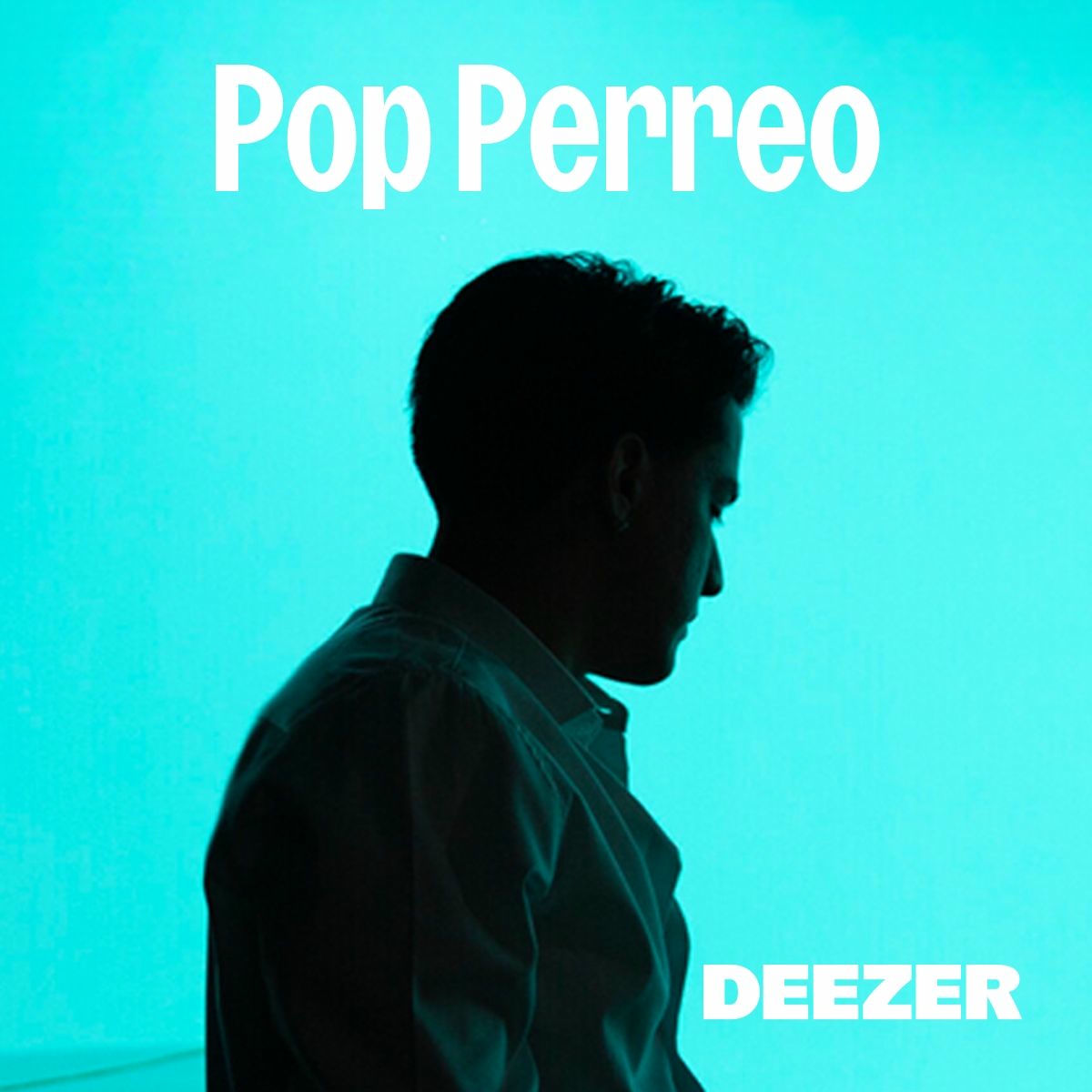 Cover of playlist Pop Perreo