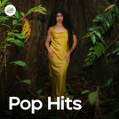 Pop Hits 2025 ✨ Hits do Pop Nacional 2025