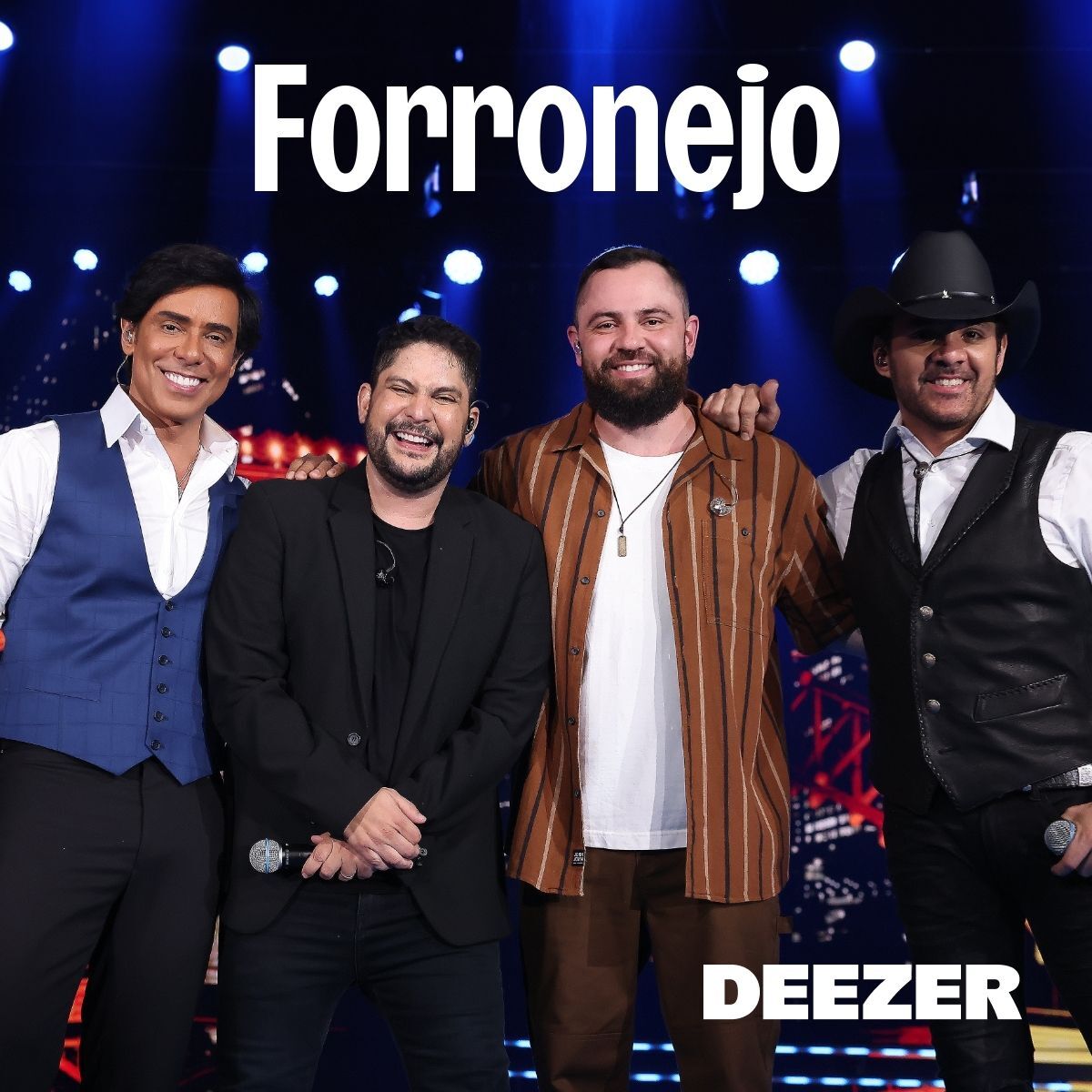 Cover of playlist Forronejo