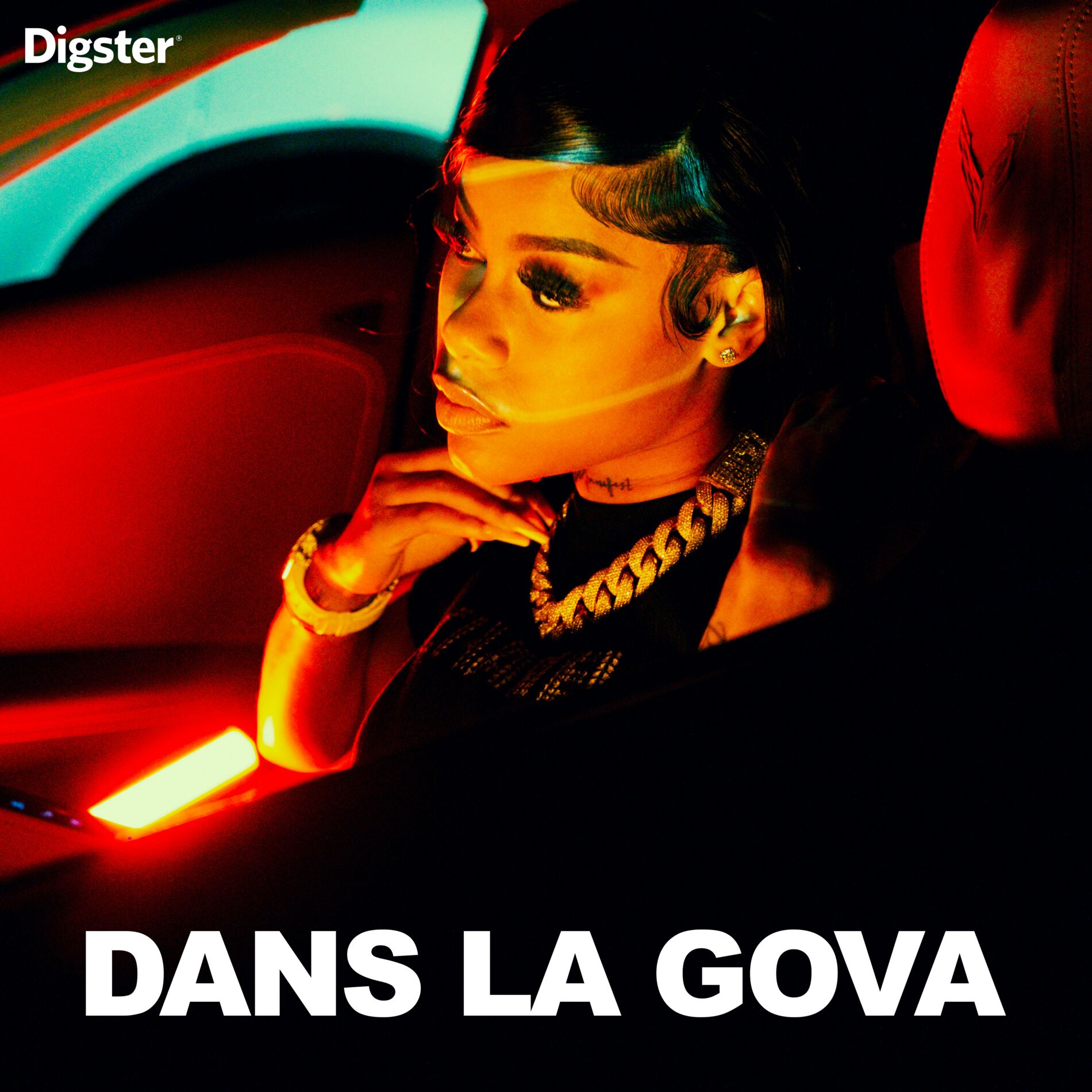Cover of playlist Dans la gova