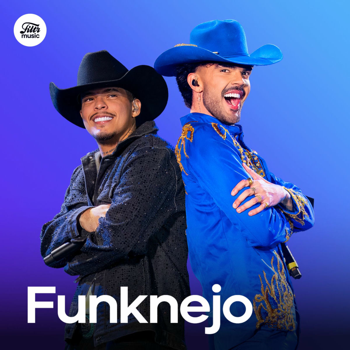 Cover of playlist Funknejo 2025 | Funk e Sertanejo