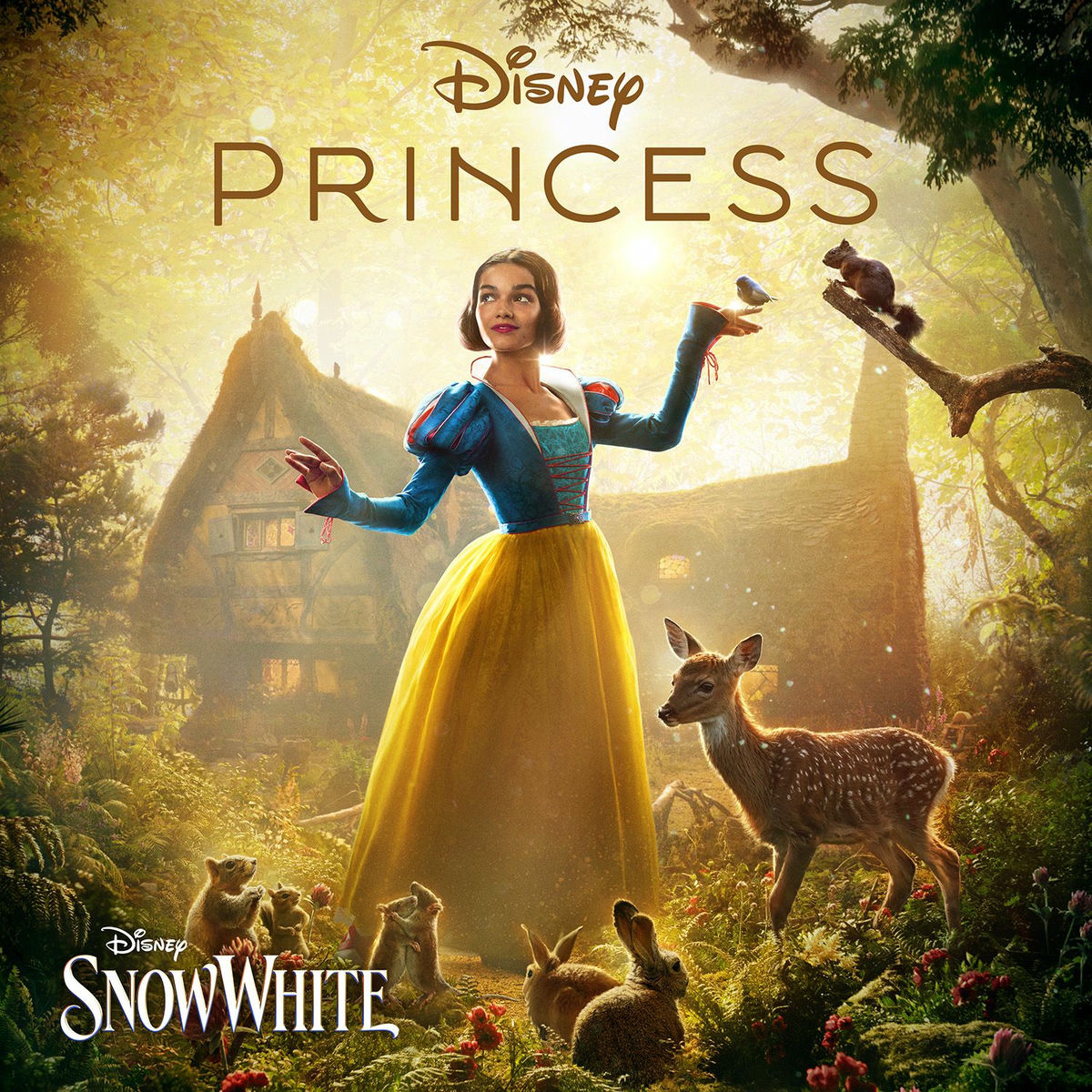 Cover of playlist Disney Princess