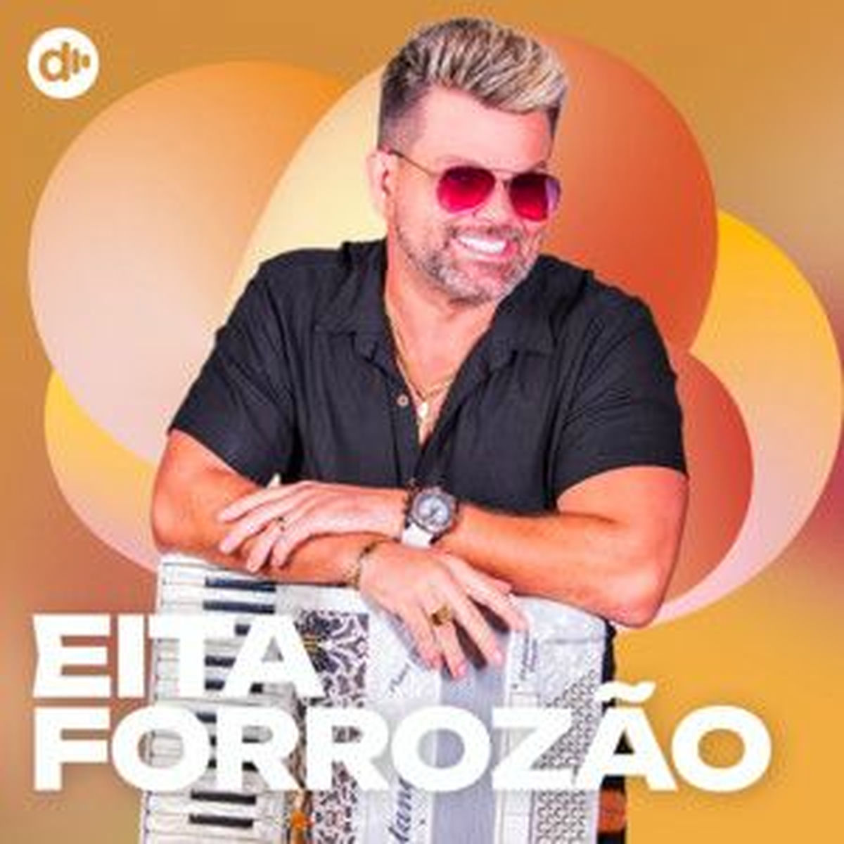 Cover of playlist Eita Forrozão 🪗  Forró 2025