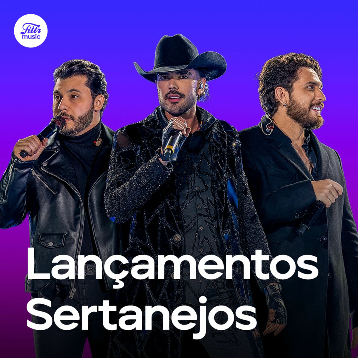 Cover of playlist Lançamentos Sertanejo 2025 🔥 Sertanejo Atualizado