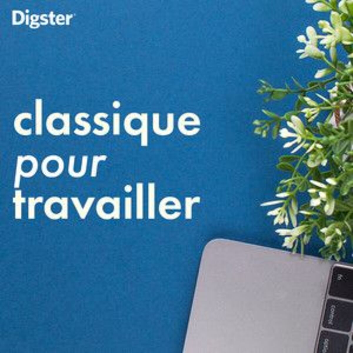 Cover of playlist Classique pour travailler (réviser, lire, se conce