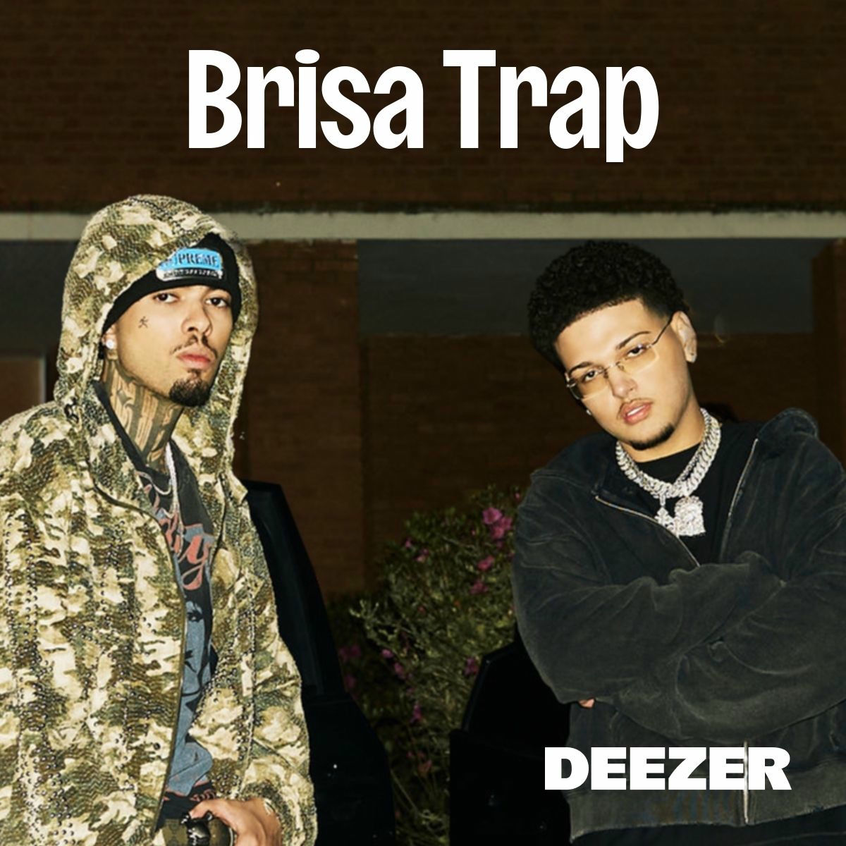 Cover of playlist Brisa Trap