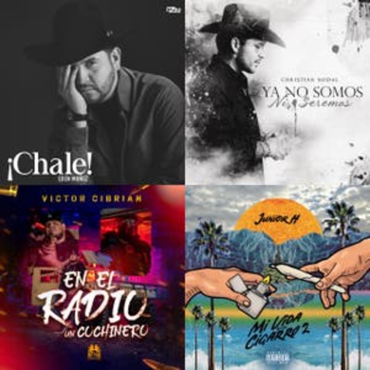 Cover of playlist Regional Mexicano éxitos 2022 Banda Mix