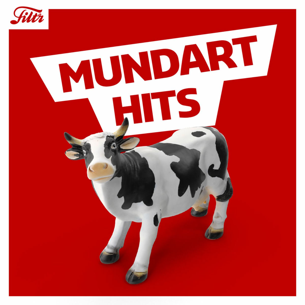 Cover of playlist Mundart Hits 🇨🇭 | Swiss Mundart Hits