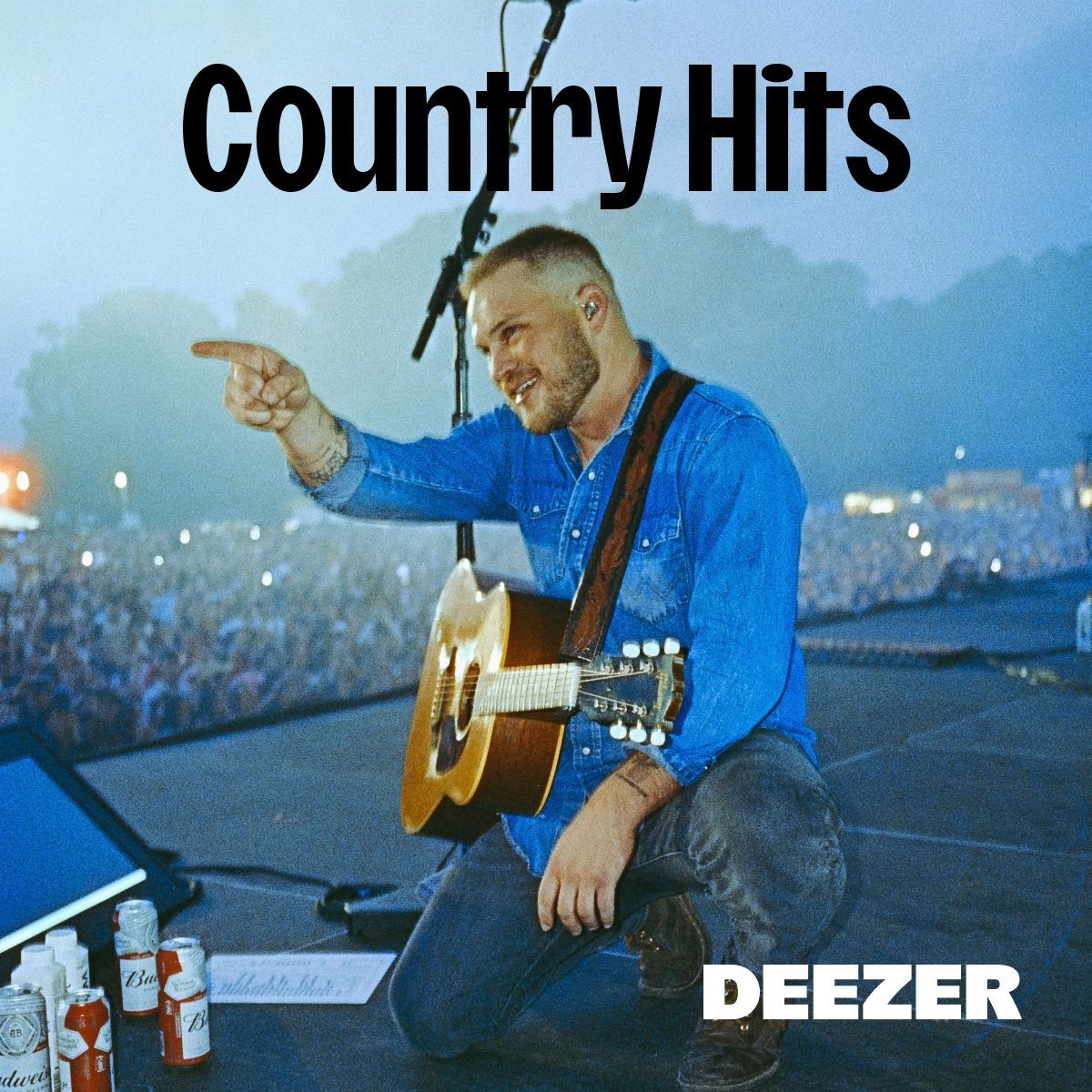 Cover of playlist Country Hits