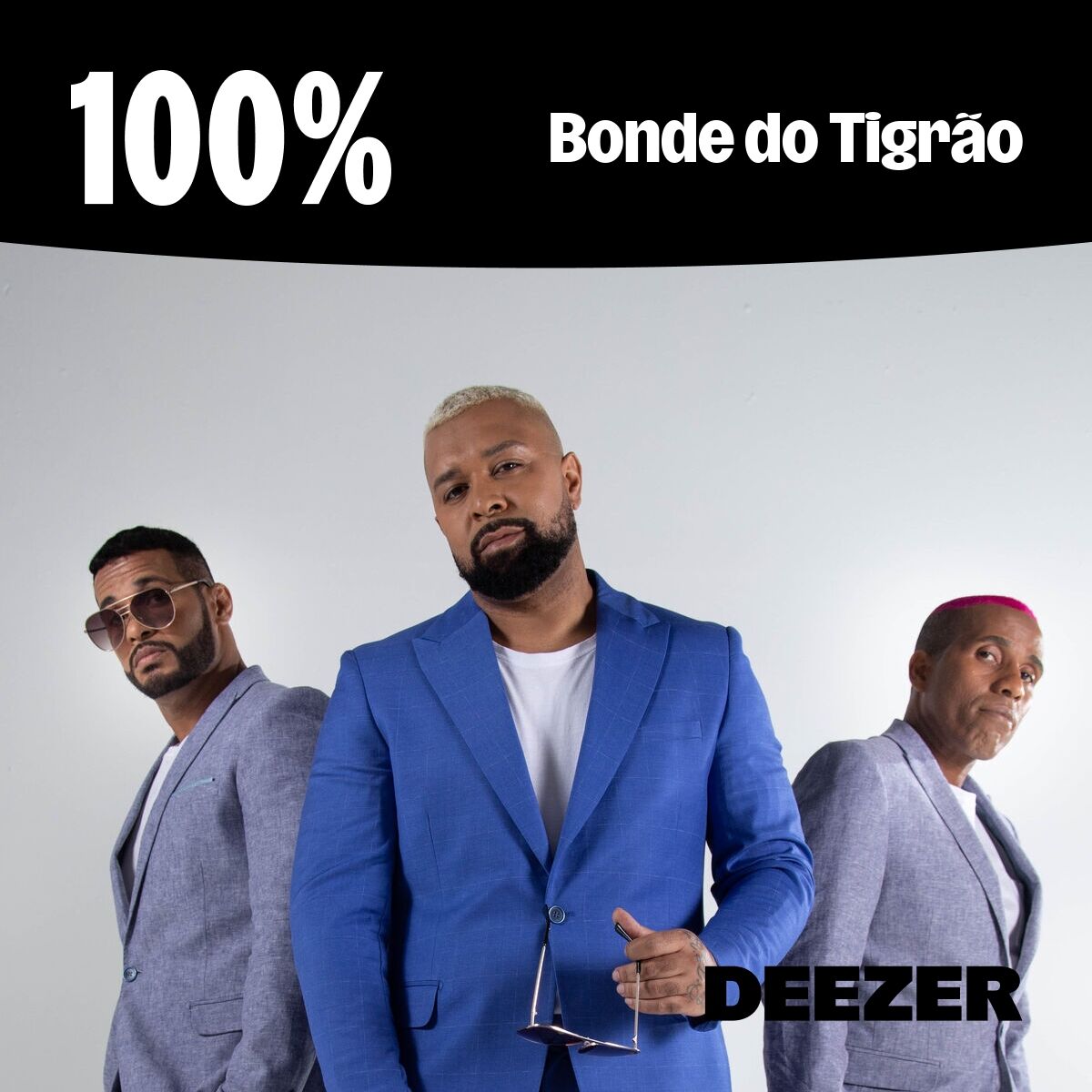Cover of playlist 100% Bonde do Tigrão