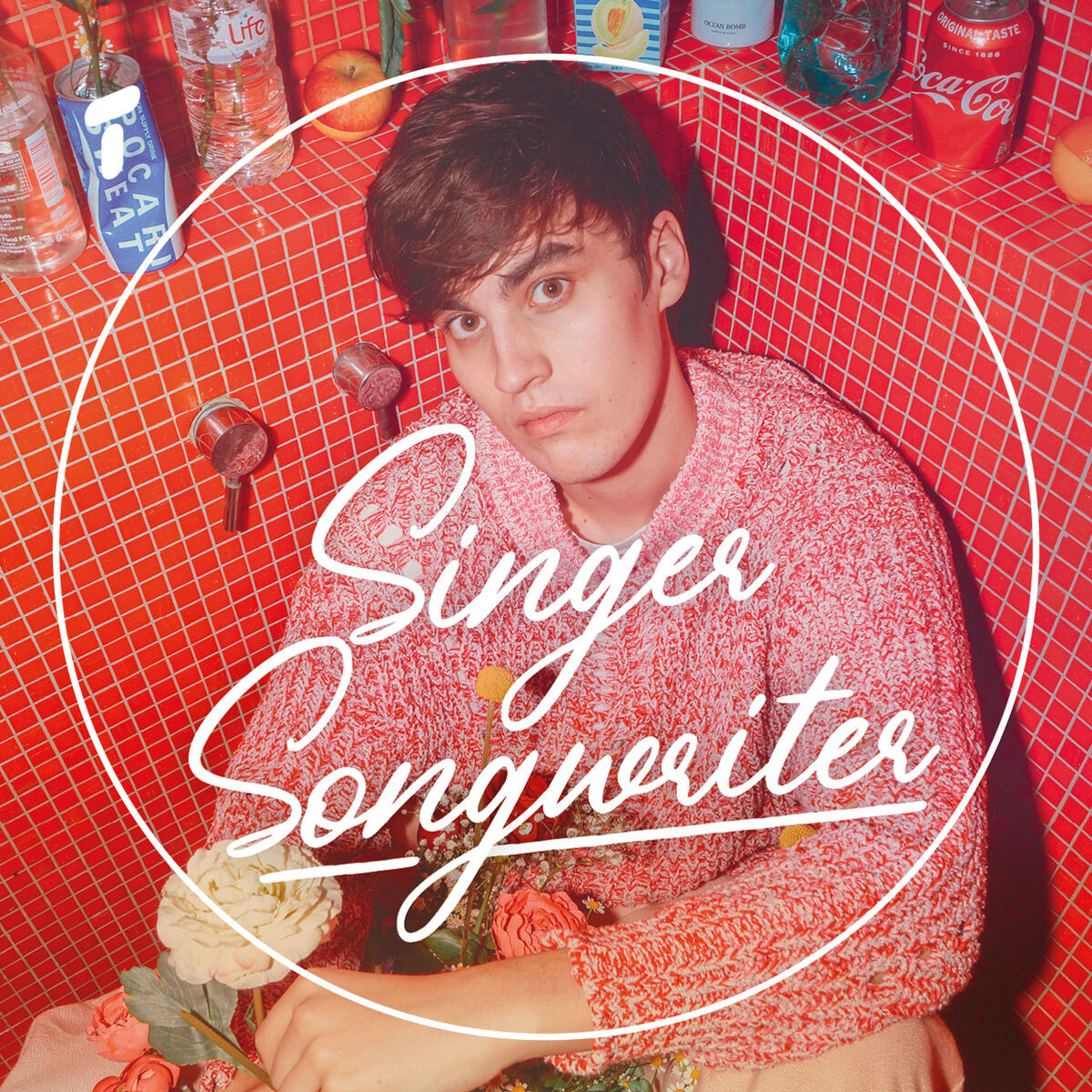 Cover of playlist Singer Songwriters
