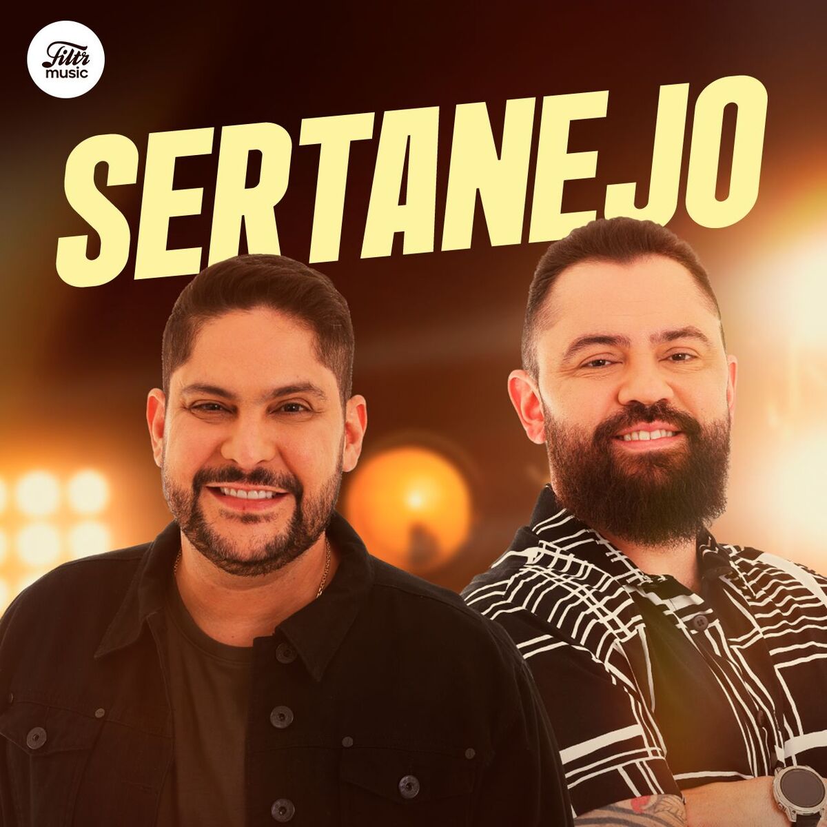 Cover of playlist Top Sertanejo 2025 ⭐ Hits Sertanejos!