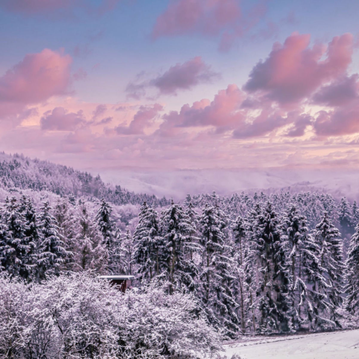 Cover of playlist rap fr chill mood hiver ❄️ playlist 2025