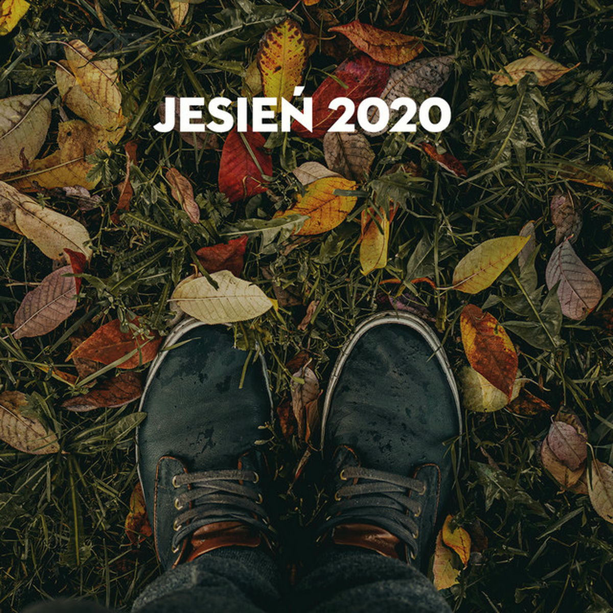 Cover of playlist Jesień 2020