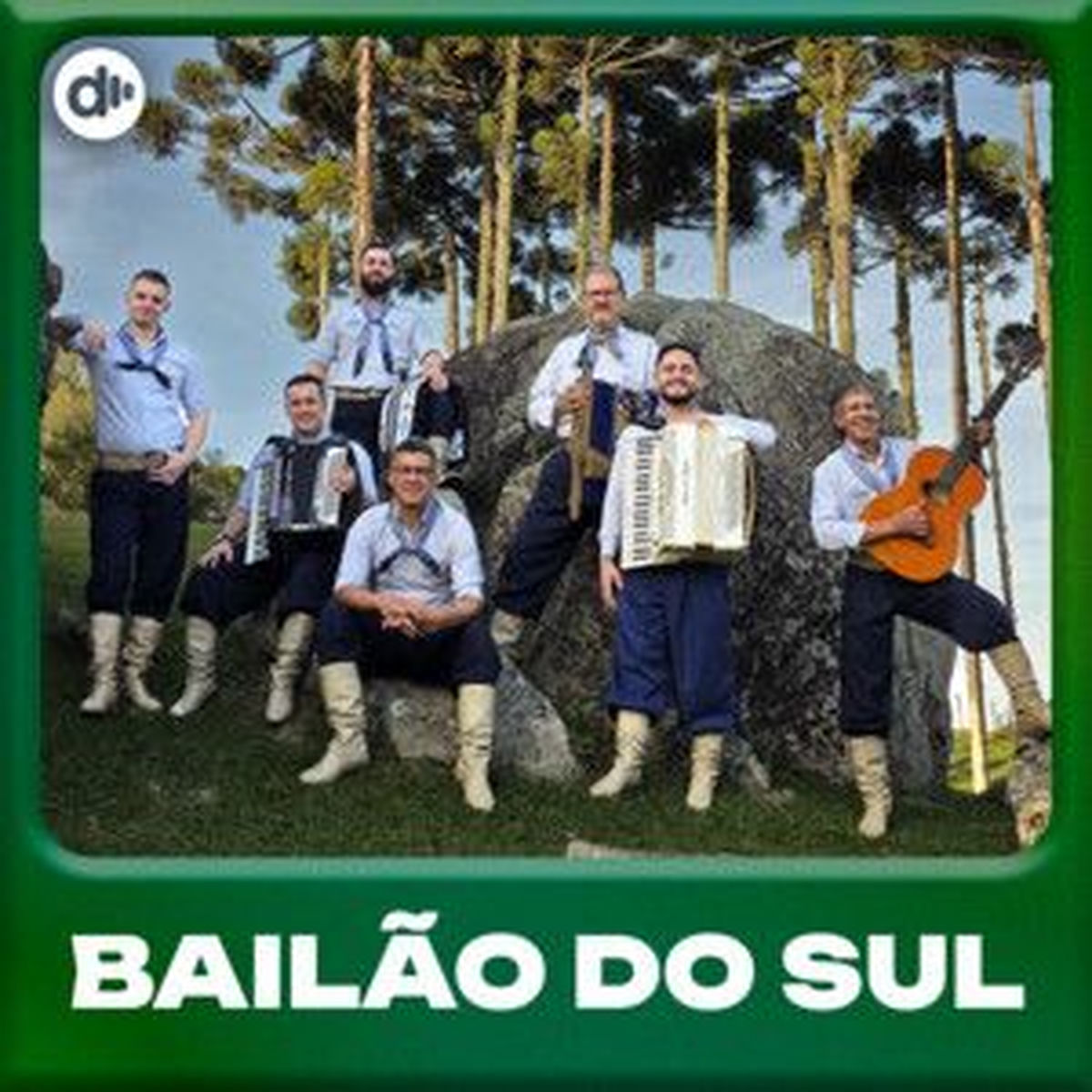Cover of playlist Bailão do Sul