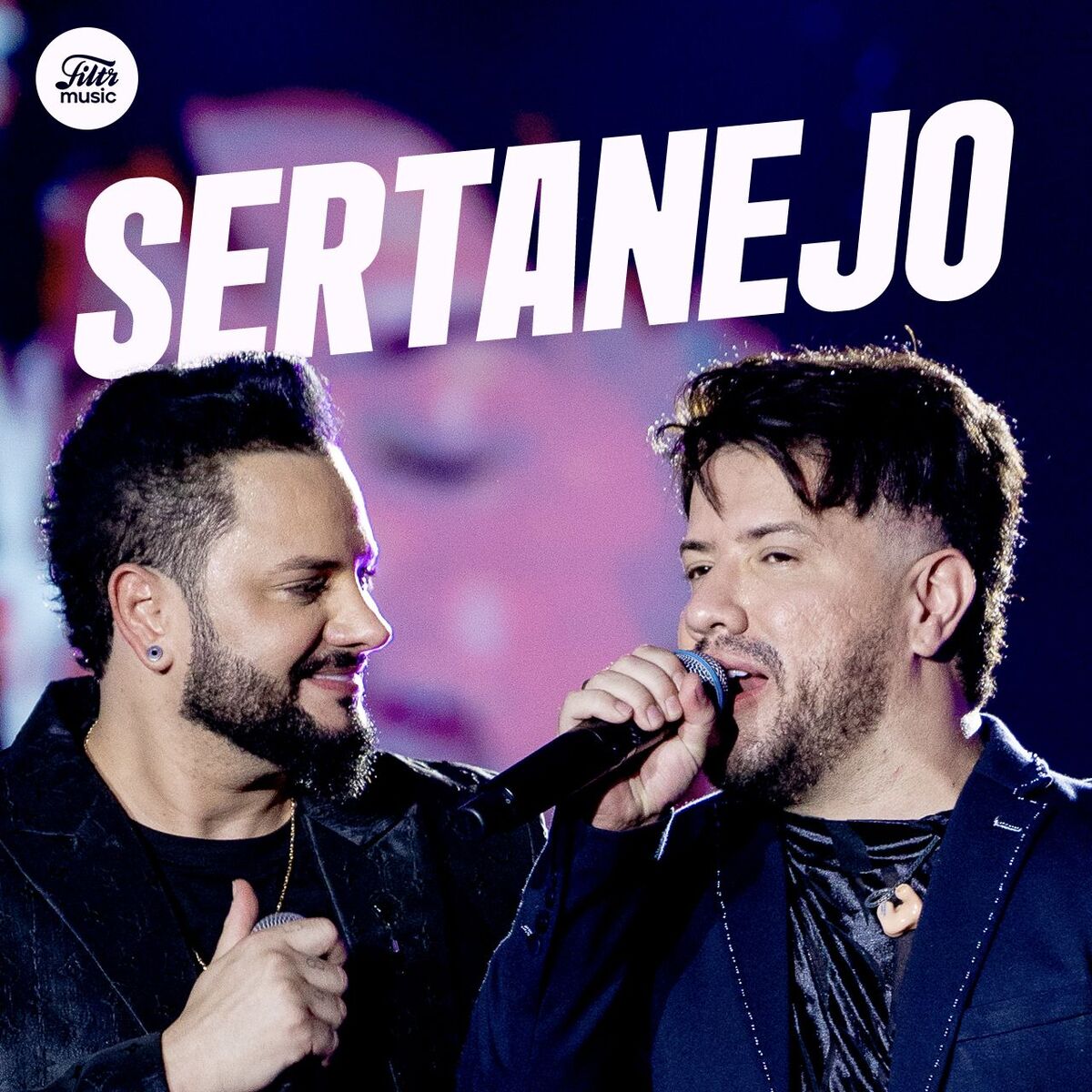 Cover of playlist Top Sertanejo 2025 ⭐ Hits Sertanejos!