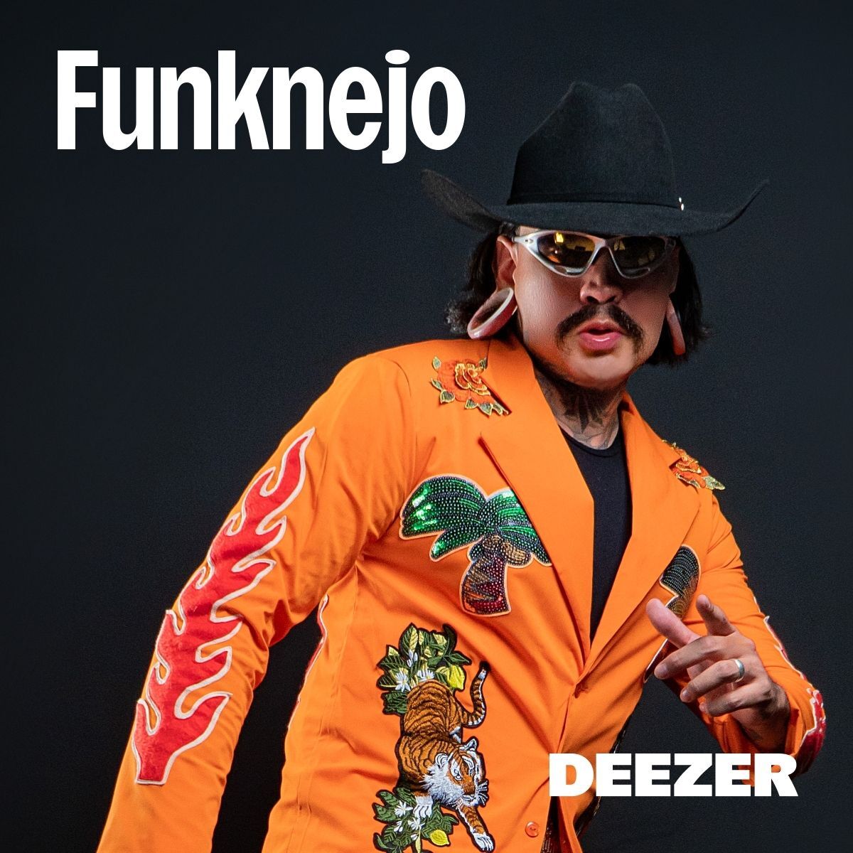 Cover of playlist Funknejo