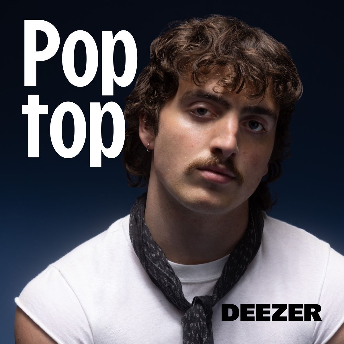 Cover of playlist Poptop
