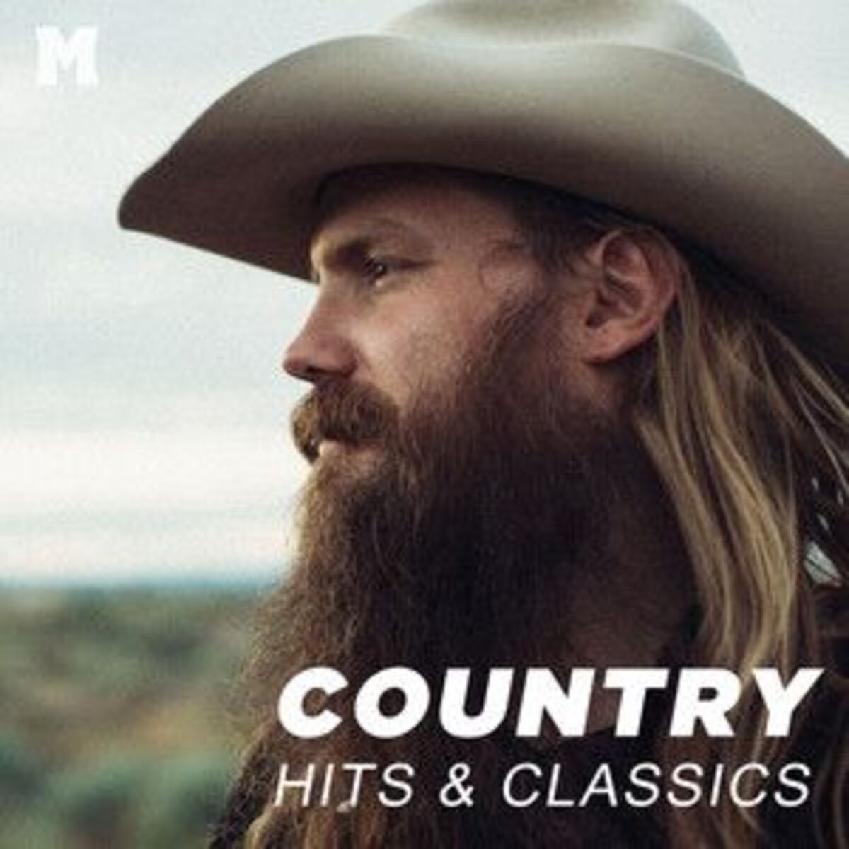 Cover of playlist Country Music 2025 🌾 Hot Hits & Classics