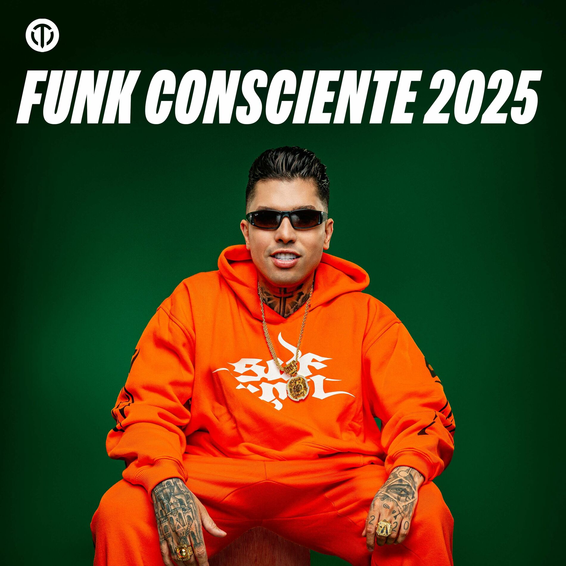 Cover of playlist Funk Consciente Superação 2025 - MC Marks - Hariel