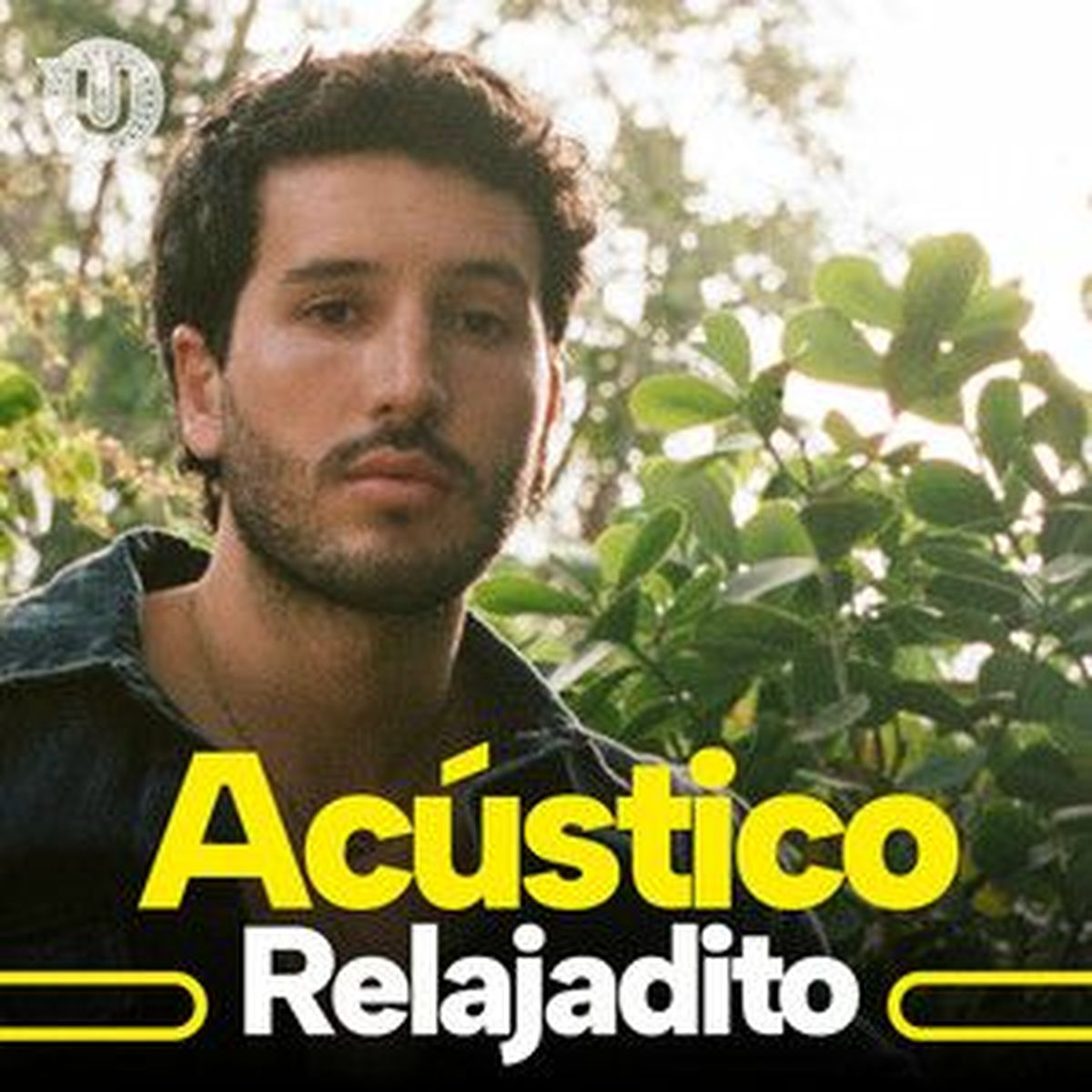 Cover of playlist Acústico Relajadito
