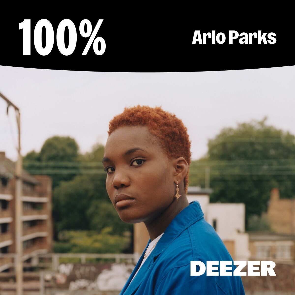 Cover of playlist 100% Arlo Parks
