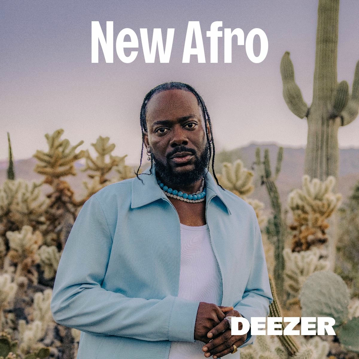 Cover of playlist New Afro