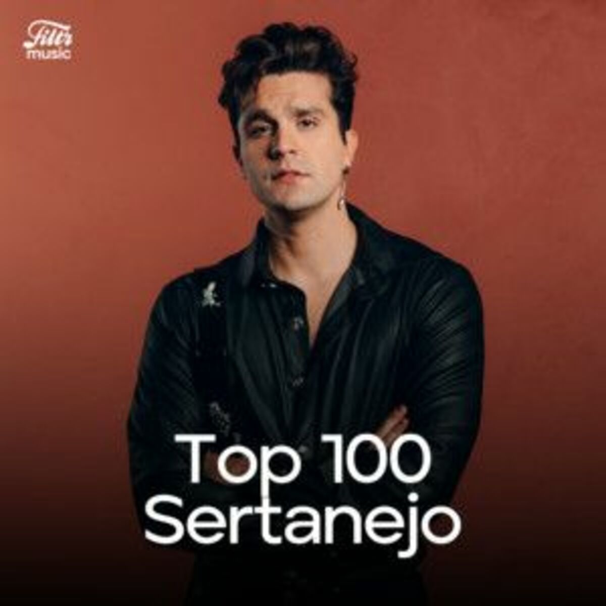 Cover of playlist TOP 100 SERTANEJO 2025  MAIS TOCADAS