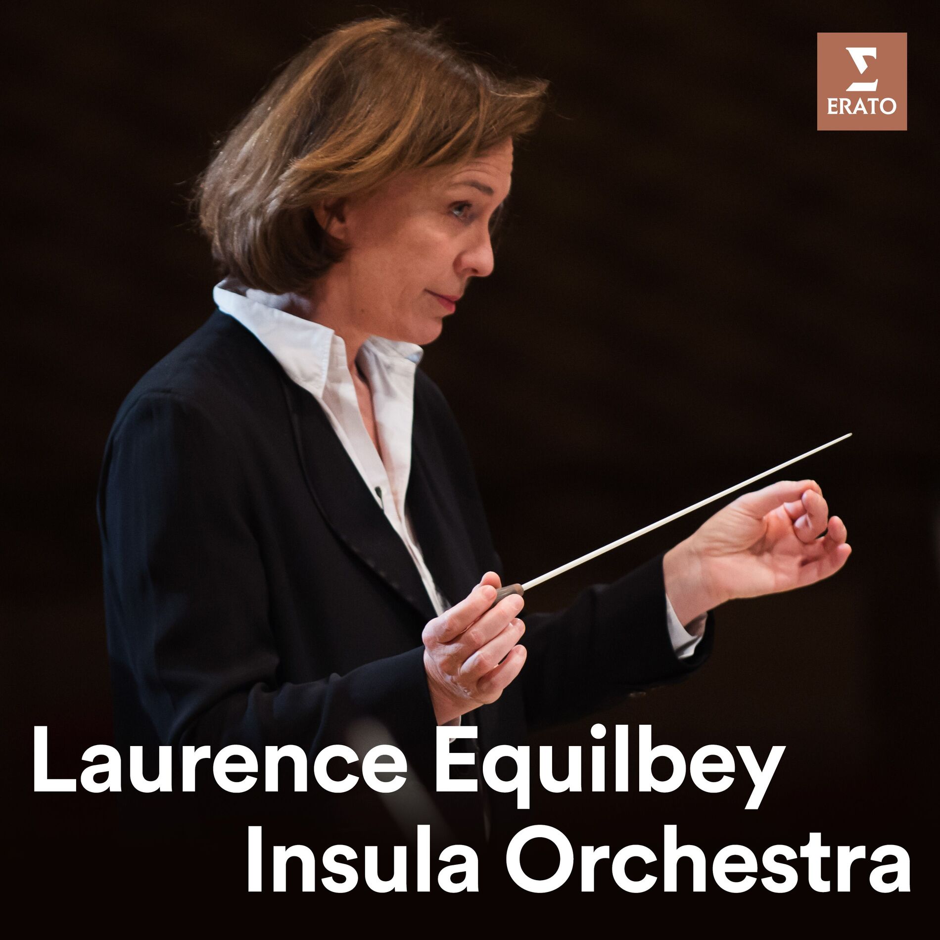Cover of playlist Laurence Equilbey - Insula Orchestra
