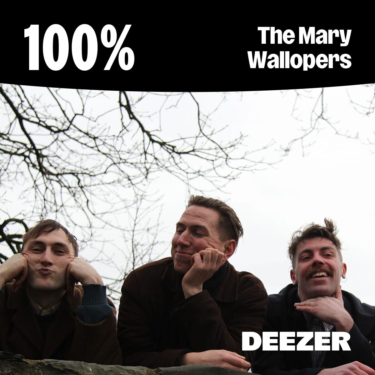 Cover of playlist 100% The Mary Wallopers