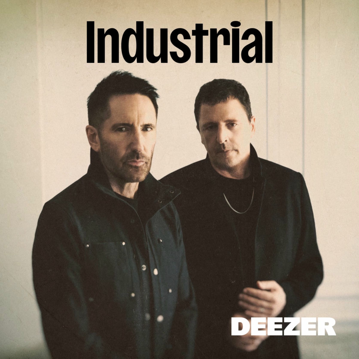 Cover of playlist Industrial