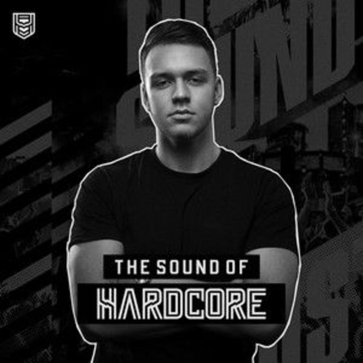 Cover of playlist The Sound Of Hardcore