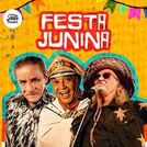 Festa Junina 2025 - Só As Melhores | Forró Antigo