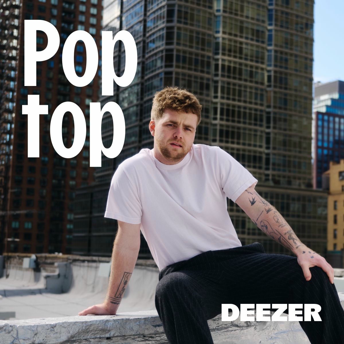 Cover of playlist Poptop