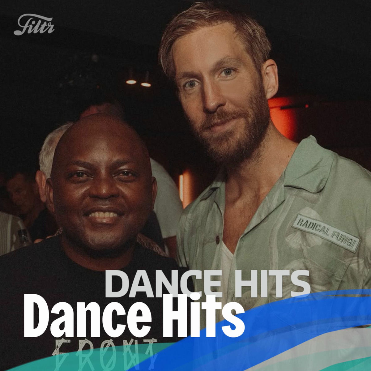 Cover of playlist Dance Hits
