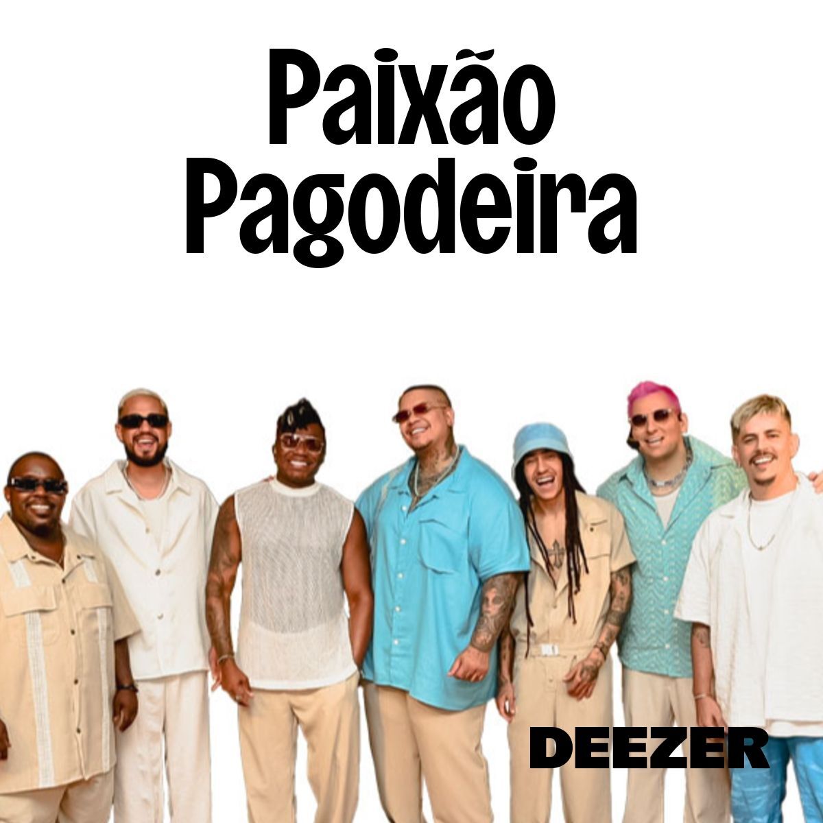 Cover of playlist Paixão Pagodeira