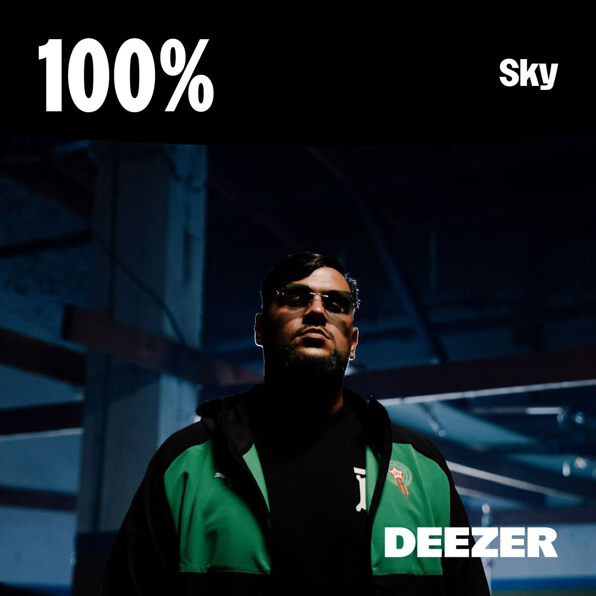 Cover of playlist 100% Sky