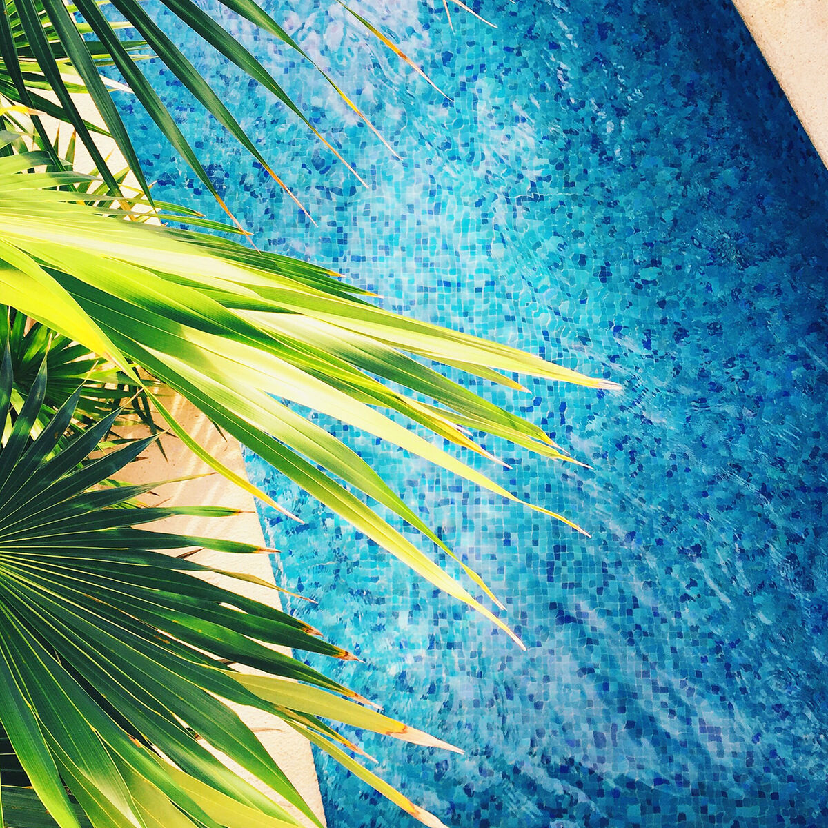 Cover of playlist HOTEL MUSIC 2024 🍹 lounge & lobby covers
