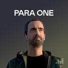 Inspirations by Para One