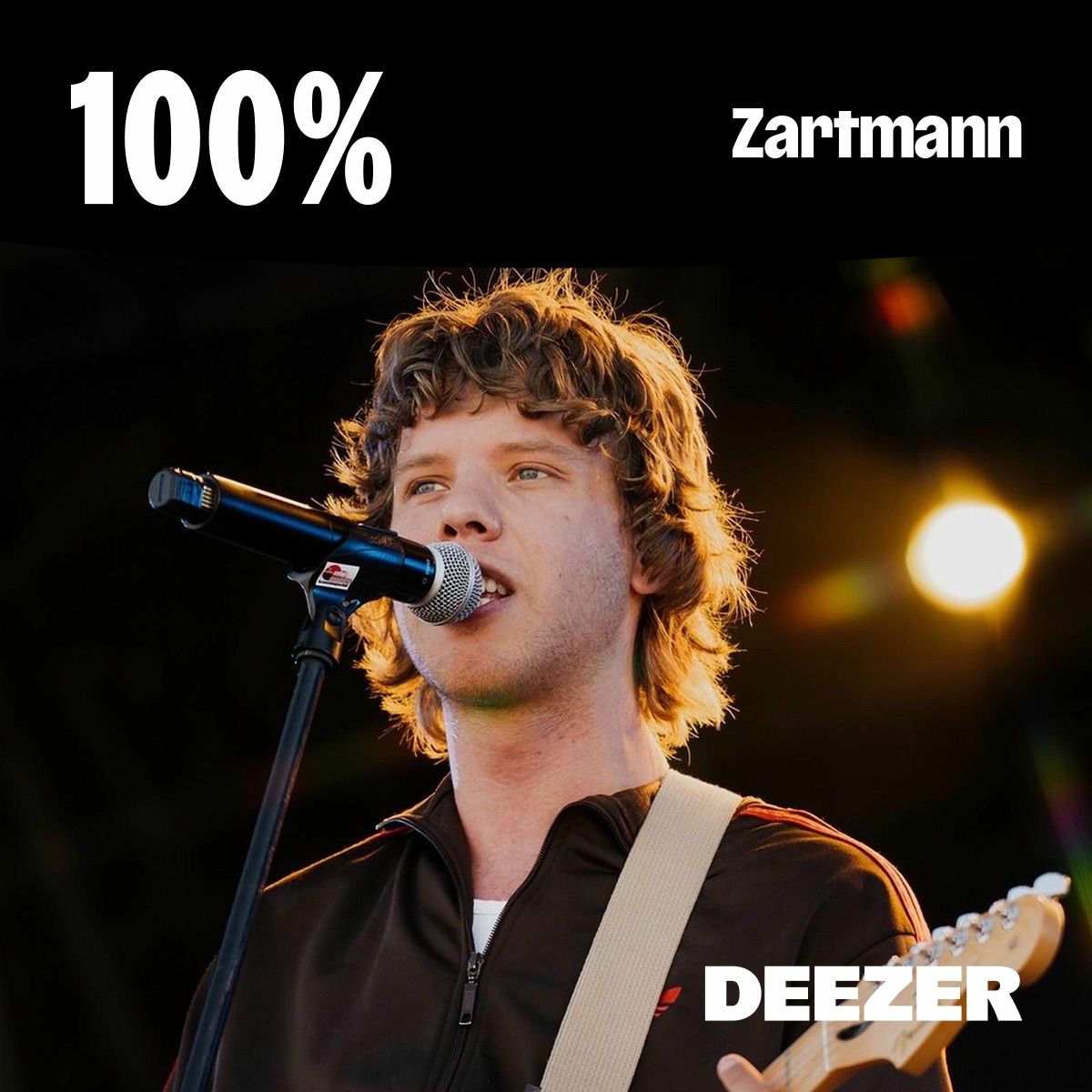 Cover of playlist 100% Zartmann