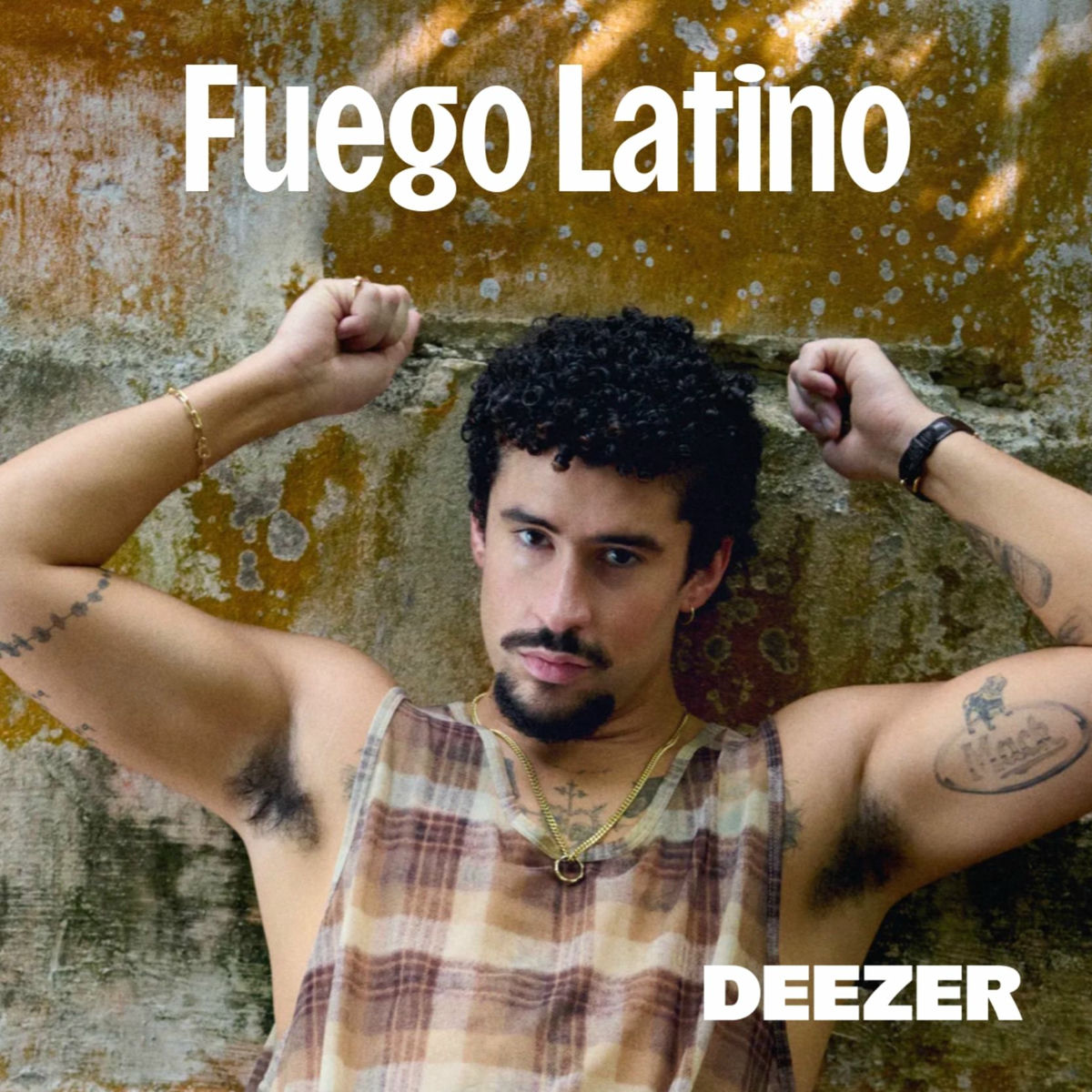 Cover of playlist Fuego Latino