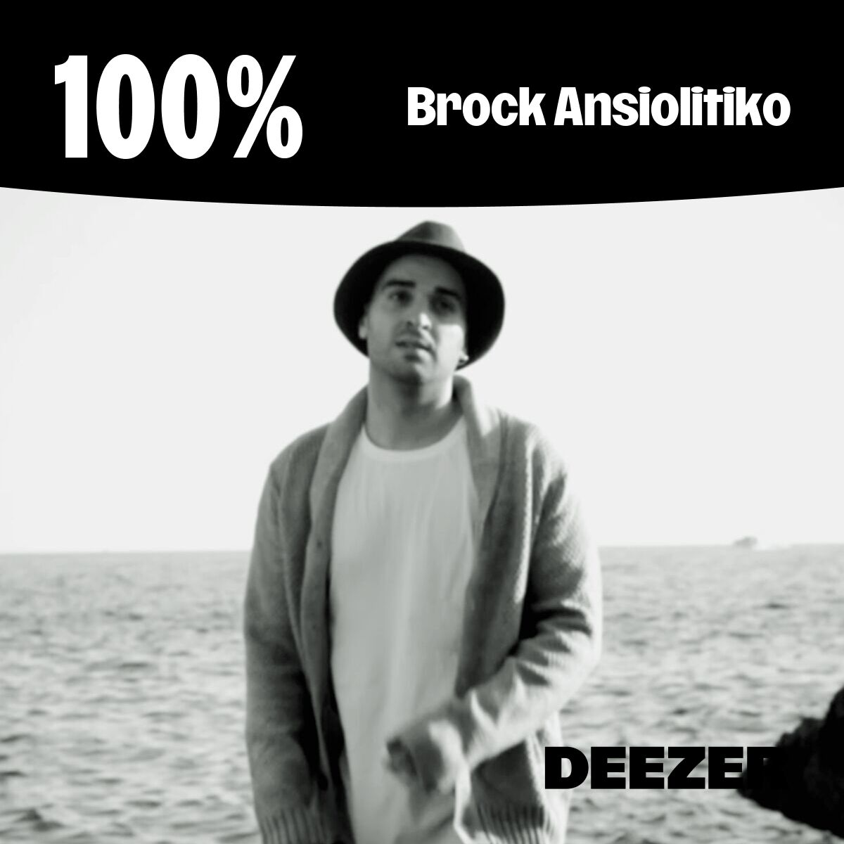 Cover of playlist 100% Brock Ansiolitiko