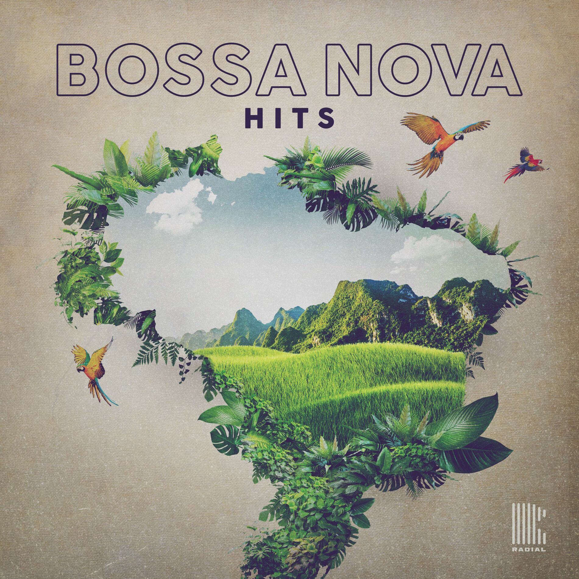 Cover of playlist Bossa Nova Hits