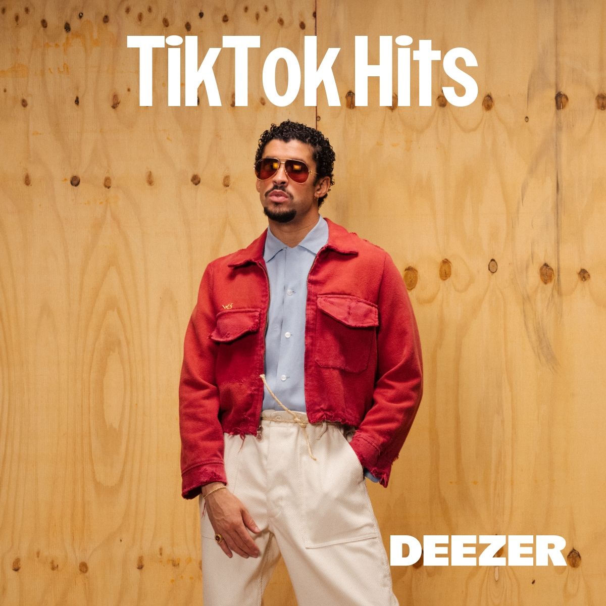 Cover of playlist TikTok Hits
