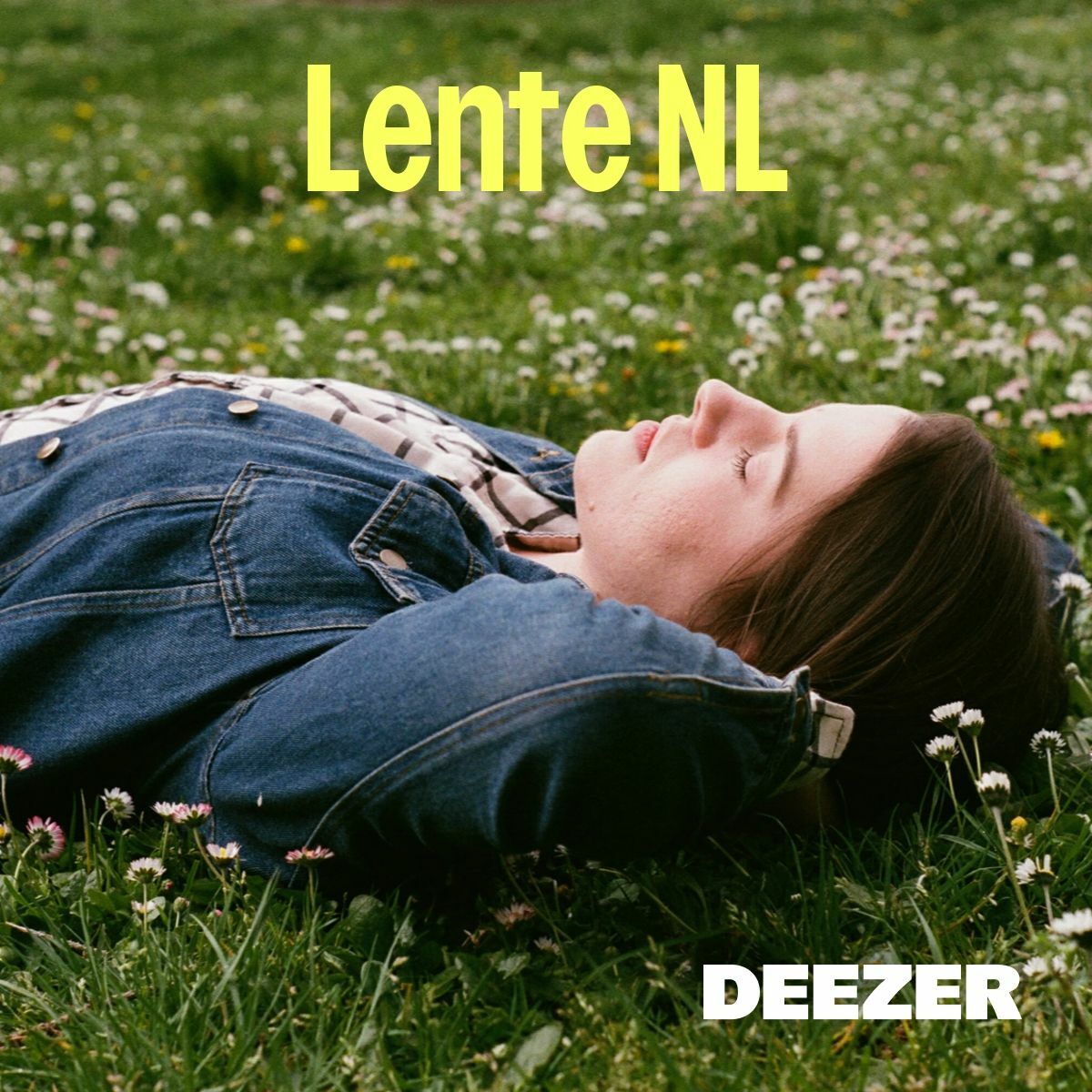 Cover of playlist Lente NL