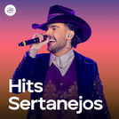 Hits Sertanejos 2025 | Sertanejo Mais Tocadas 2025