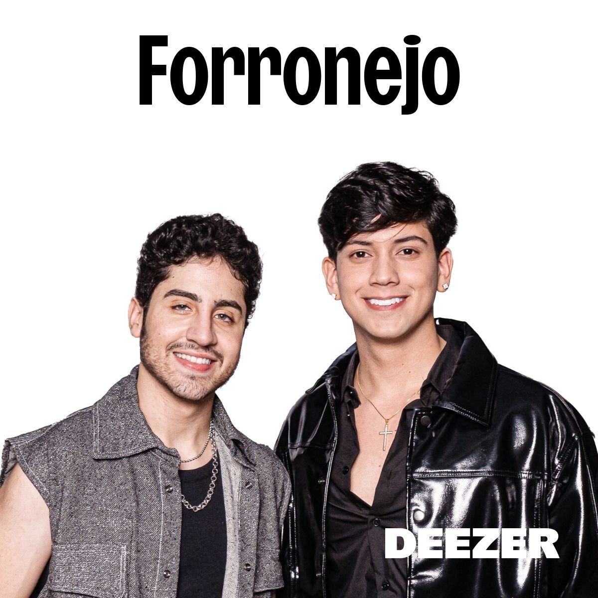 Cover of playlist Forronejo