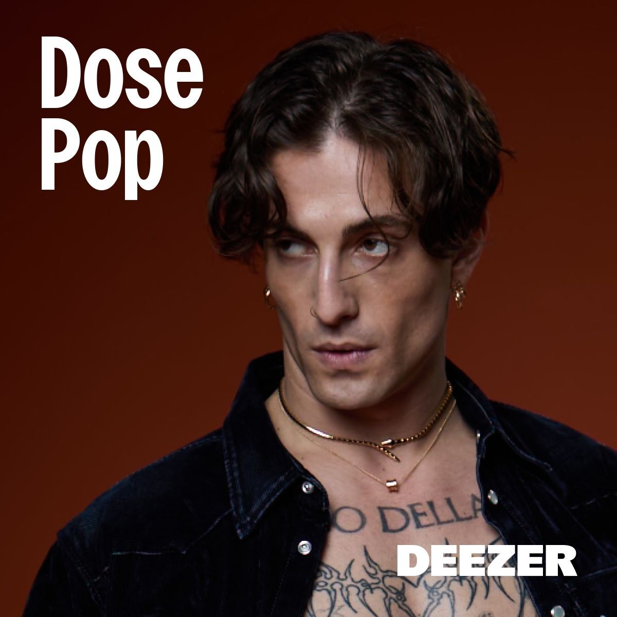 Cover of playlist Dose Pop