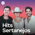 Hits Sertanejos 2025 | Sertanejo Mais Tocadas 2025